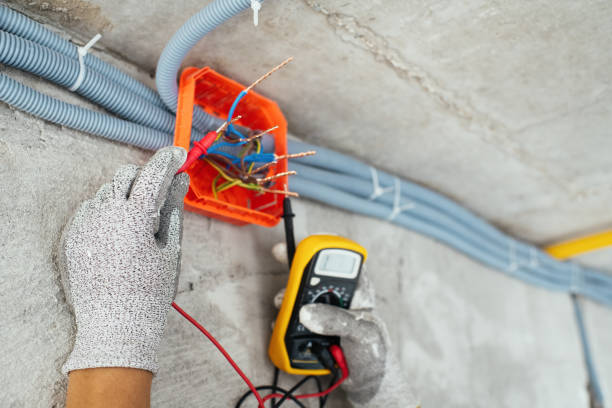 Best Ceiling Fan Installation Electrician  in Lillian, AL